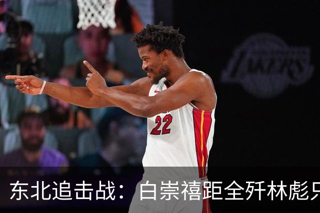 东北追击战：白崇禧距全歼林彪只差一道命令，历史差点被改写！