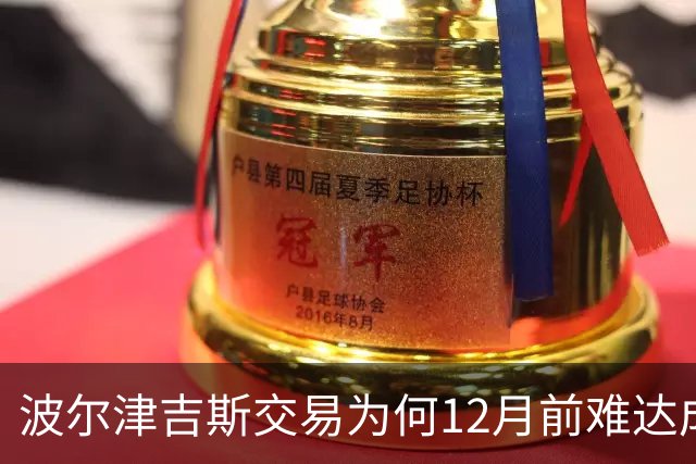波尔津吉斯交易为何12月前难达成？美记点出两大障碍